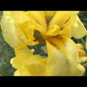 Meet your Posher, Bonnie